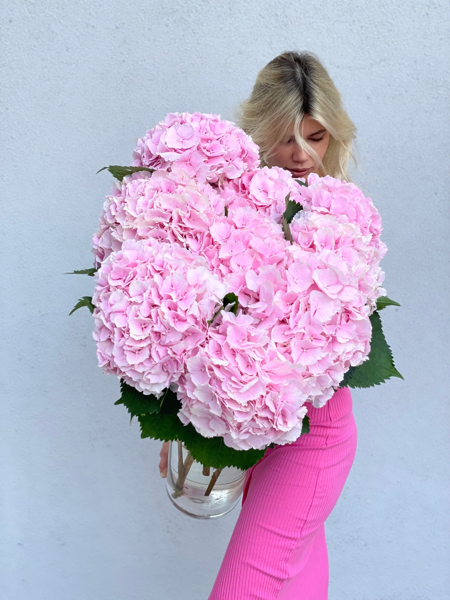 Pink hydrangea in a clear vase