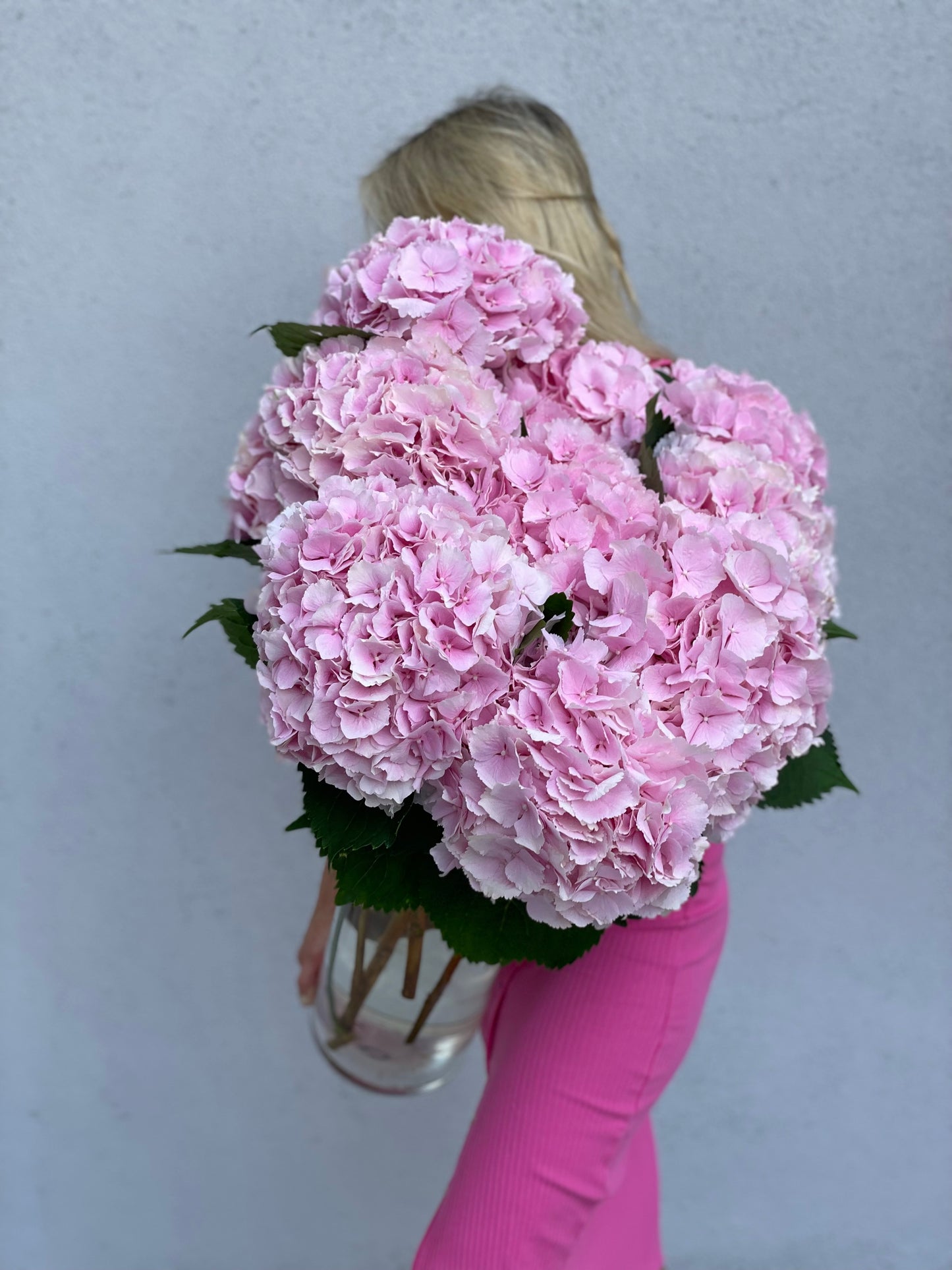Pink hydrangea in a clear vase