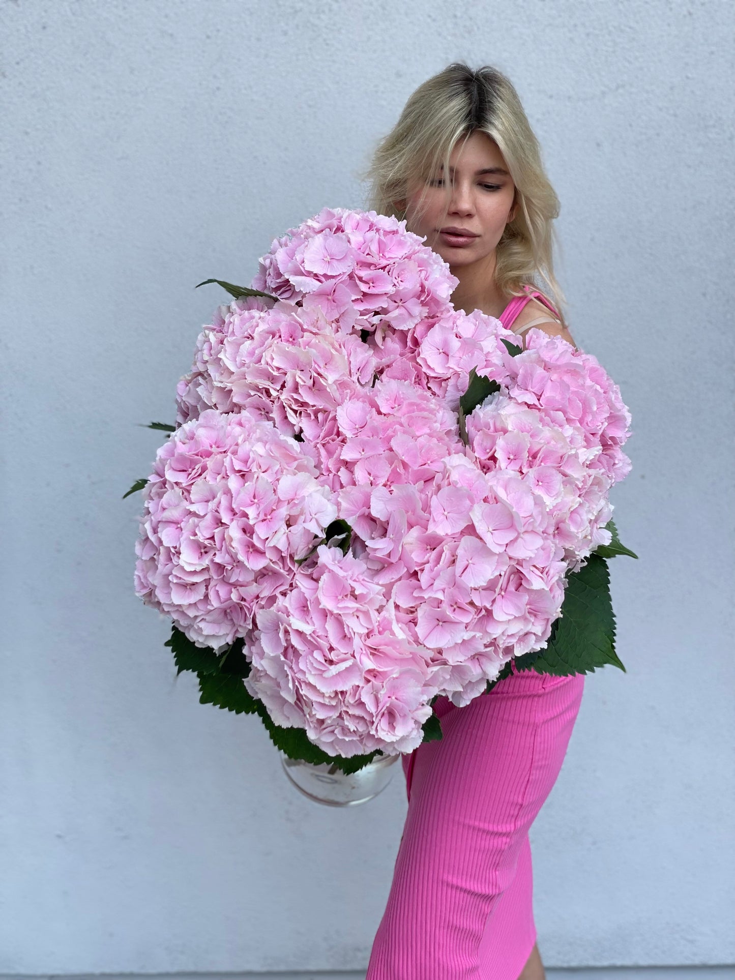 Pink hydrangea in a clear vase