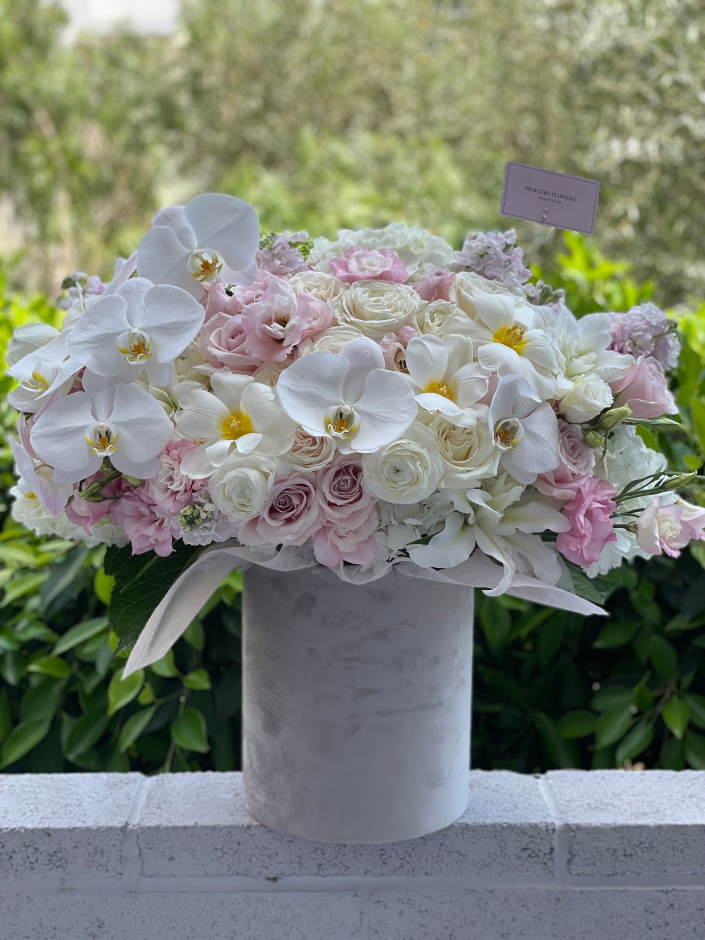 Orchids with flower arrangement (Editor's Choice) by MF