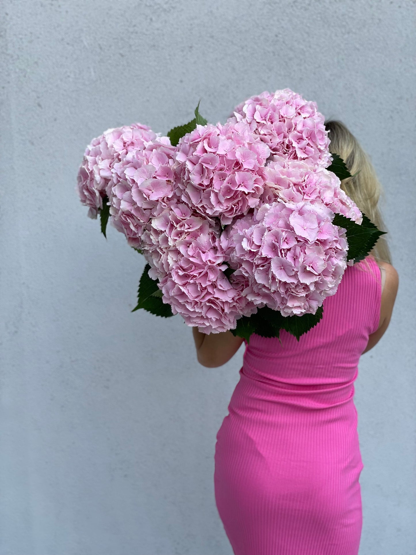 Pink hydrangea in a clear vase