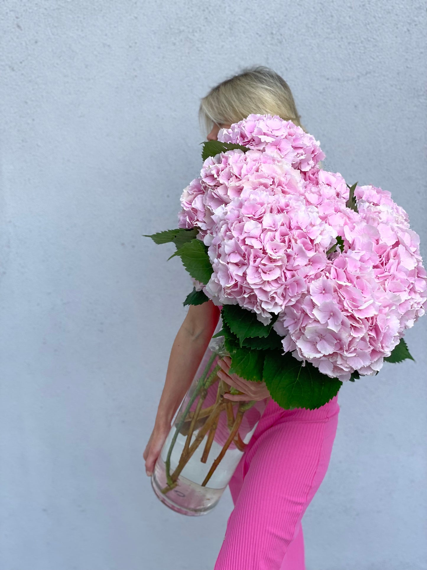 Pink hydrangea in a clear vase