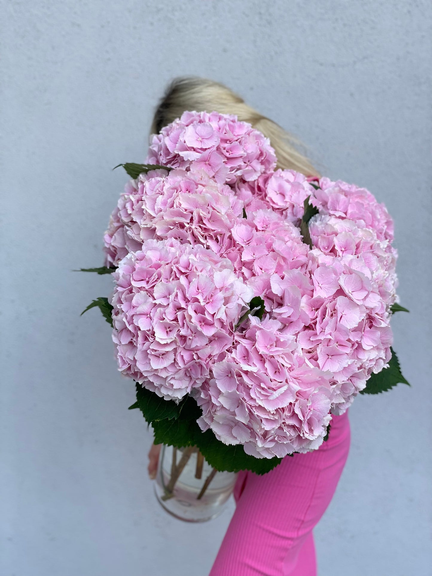 Pink hydrangea in a clear vase