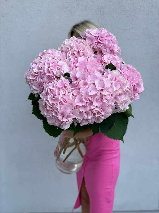 Pink hydrangea in a clear vase